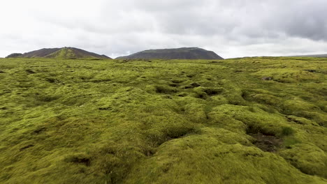 Vista-Aérea-Del-Campo-De-Lava-Cubierto-De-Musgo-En-Islandia.