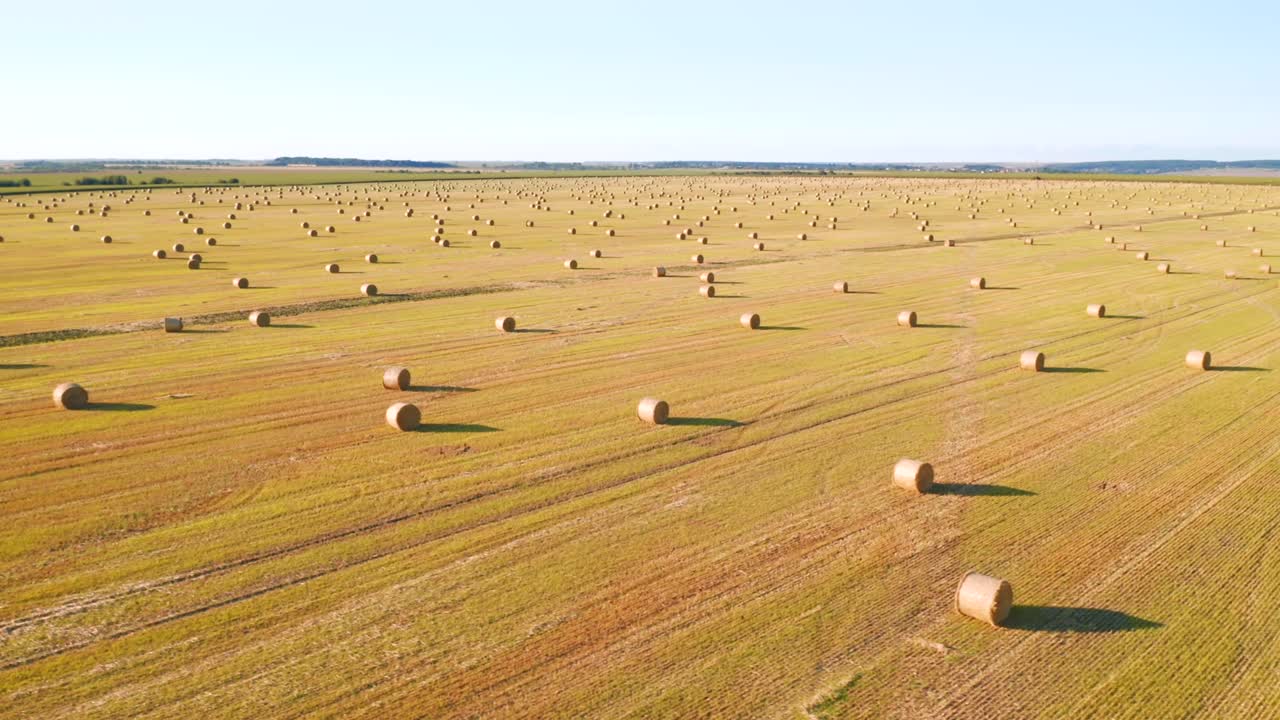 Shooting from a quadcopter flying over the golden field with roll bales of wheat straw.