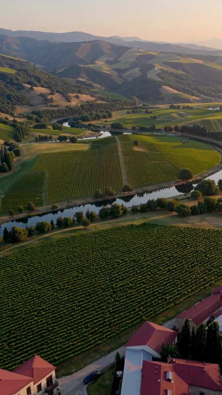 Veduta aerea di lussureggianti vigneti verdi, fiume e montagne al tramonto