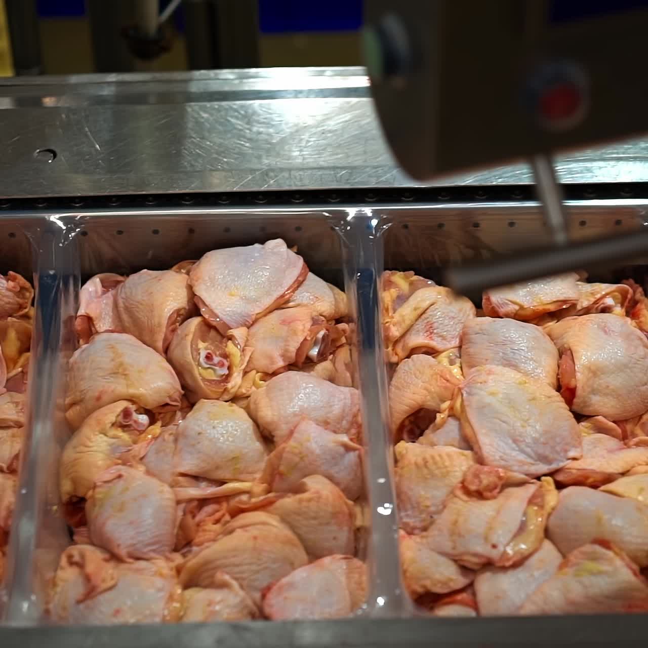 Meat production in food plant industry. Ready chicken meat parts lying in containers in factory refrigerator. Fresh chicken meat parts