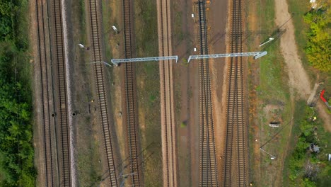 on quiet electric tracks they lay, waiting for trains to come their way