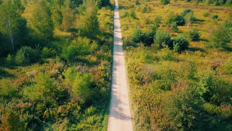 aerial view of a rural road with in yellow and orange autumn forest