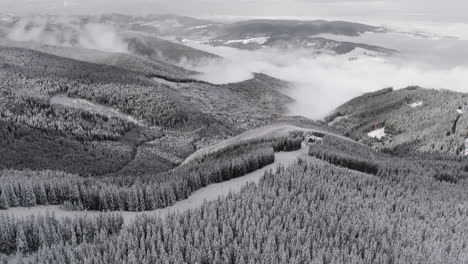 aerial view of snow-capped mountains, serene fir forests, fog-filled valleys, and a tranquil ski slope with few tourists on a sunny winter day