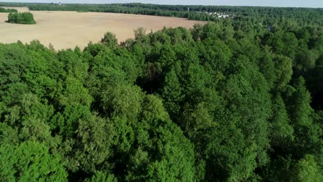 beautiful small village near agricultural field in a beautiful green forest.