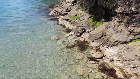 Felsiges-Ufer,-Klares-Meer,-üppige-Grüne-Vegetation-Und-Wunderschönes-Türkisfarbenes-Wasser-Des-Queen-Charlotte-Sound