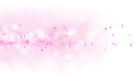 colorful bright petals swinging in spring background with sun flares. beautiful nature scene. illustration cherry blossom petals. abstract spring graphic. loop animation.