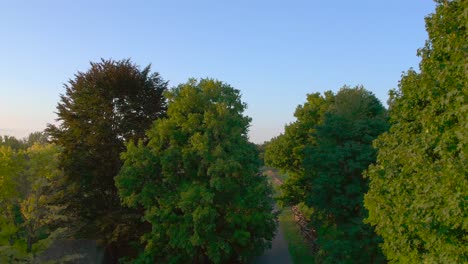 drone shot of trees down to the barn on the joseph smith family farm, frame house, temple, visitors center, and the sacred grove in palmyra new york origin locations mormons and the book of mormon