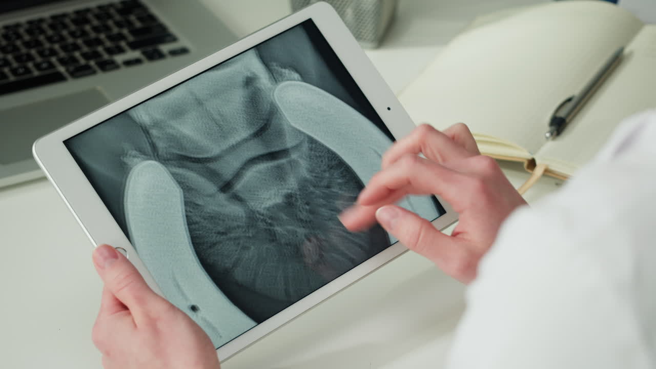 Veterinarian Reviewing Horse's Leg X-Ray on Tablet