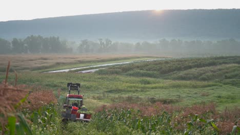 Dolly-Enthüllungsaufnahme,-Die-Sich-Rechts-Von-Einem-Traktor-Mit-Pritsche-Und-Landarbeitern-Bewegt,-Die-Mais-Darauf-Verteilen