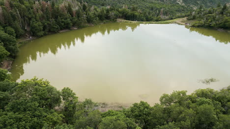 Atemberaubende-Weite-Des-Maple-Lake,-Eingebettet-In-üppige-Grüne-Wälder,-USA