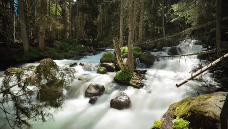 Río-Timelapsemountain-En-El-Bosque.-Hermoso-Paisaje-De-Vida-Silvestre.