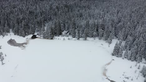 Lago-Congelado-En-Invierno,-Bosques-Cubiertos-De-Nieve-Fresca,-Vista-Aérea,-Crno-Jezero,-Lago-Negro,-Pohorje,-Eslovenia