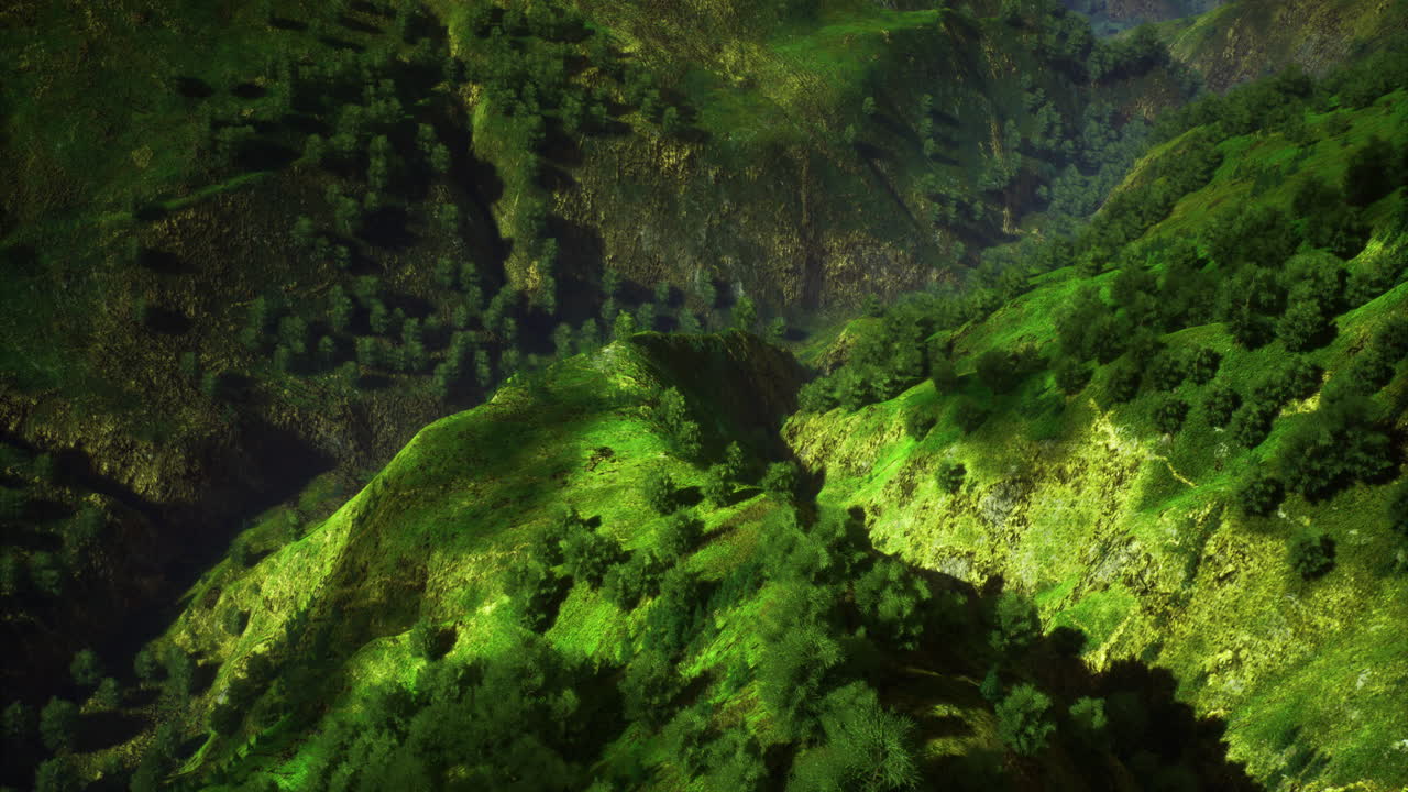 Lush green hills with trees under bright sunlight in a mountainous landscape