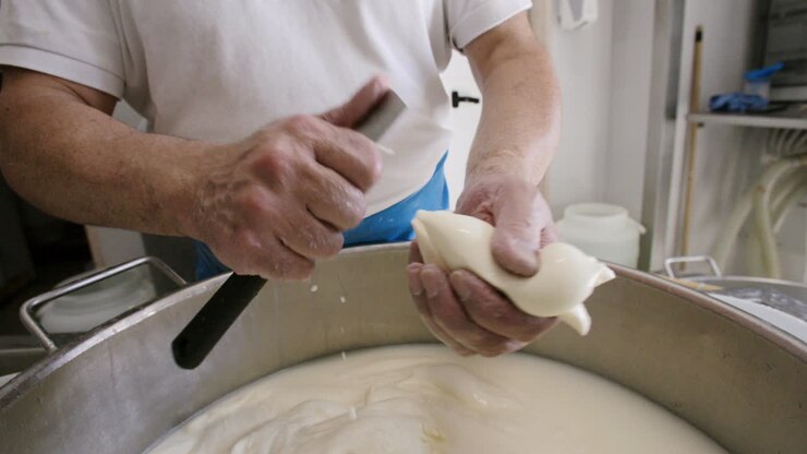 A cheese maker in Italy cutting a ball of mozzarella into the shape of a cow