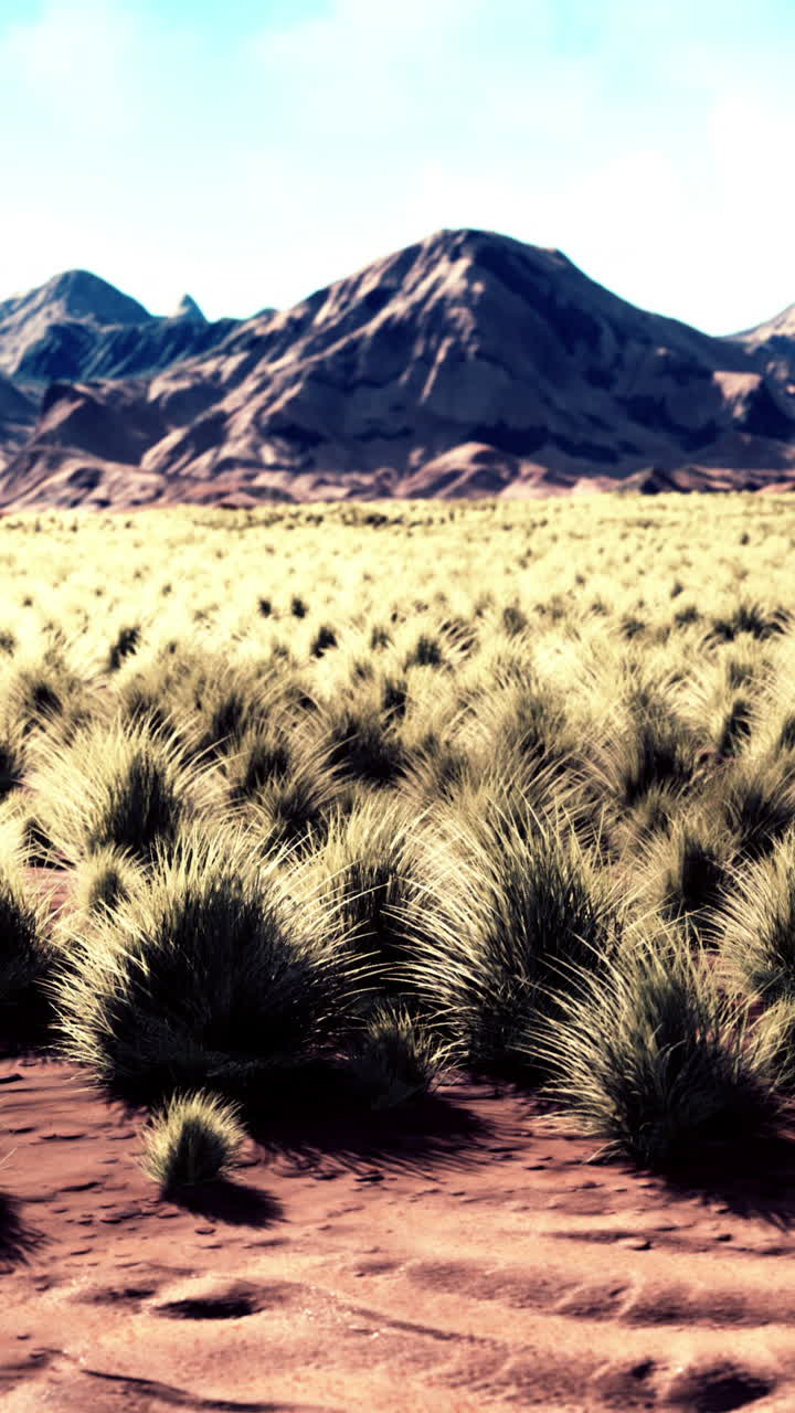 paisaje desértico con hierba y montañas