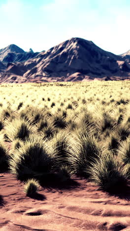 desert landscape with grass and mountains