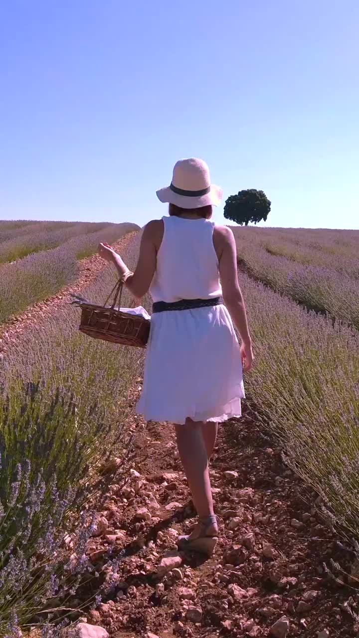 mujer caminando por un campo de lavanda