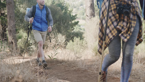 Happy-african-american-couple-hiking-with-trekking-poles-in-forest,-slow-motion