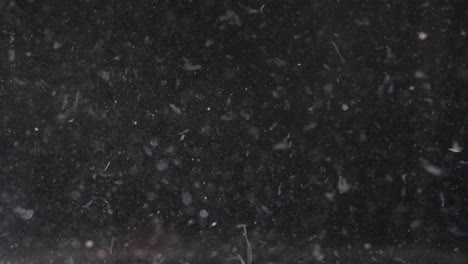 el agua llena de partículas extrañas crea un espectáculo hipnotizante y dinámico.