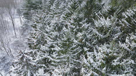 Drohnenaufnahmen-Zeigen-Nach-Einem-Heftigen-Schneesturm-Wälder-Im-Mittleren-Westen,-Die-Sich-In-Ein-Winterwunderland-Verwandelt-Haben