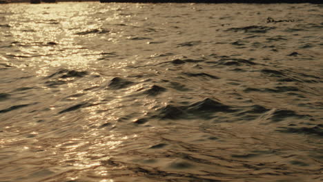 Golden Water Reflections