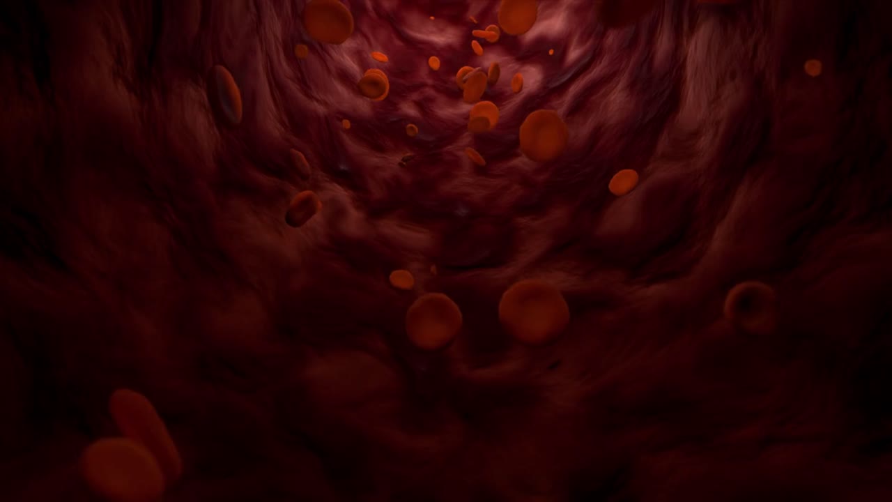 circulation of red blood cells in arteries, realistic 3D CGI animation