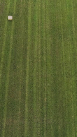 hay bale in a mowed field