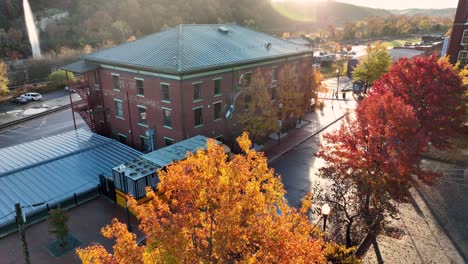 aerial pullback reveals colorful autumn trees in downtown city