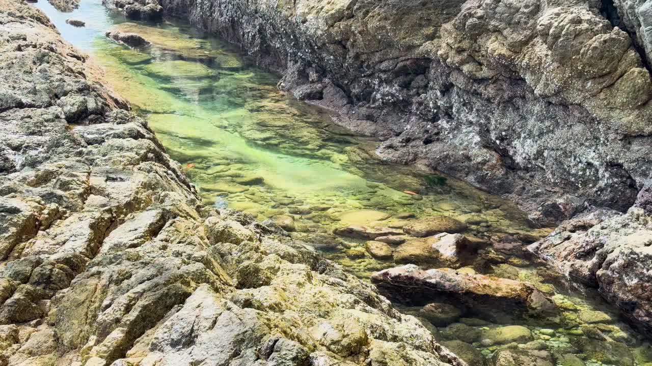 A serene rock pool with clear green water surrounded by rugged rocks under natural daylight in Phuket, Thailand