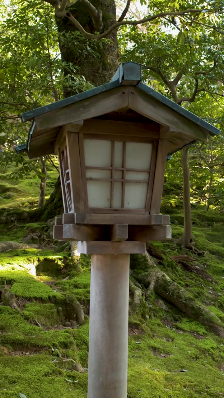 Traditionel japansk trælanterne i en frodig mosbegroet have