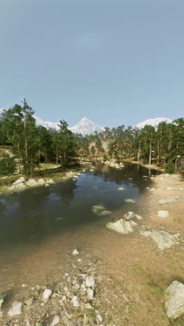 tranquilo lago de montaña con pinos