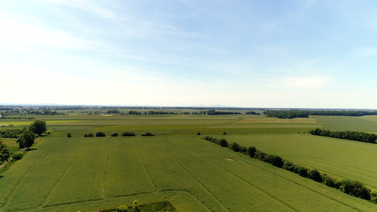 вид с воздуха на лес 5