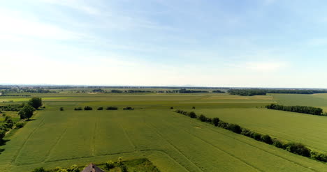 vista aérea del bosque 5