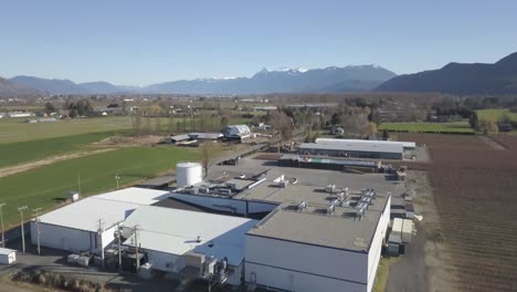 4K-Drone-Shot-of-Berry-farm