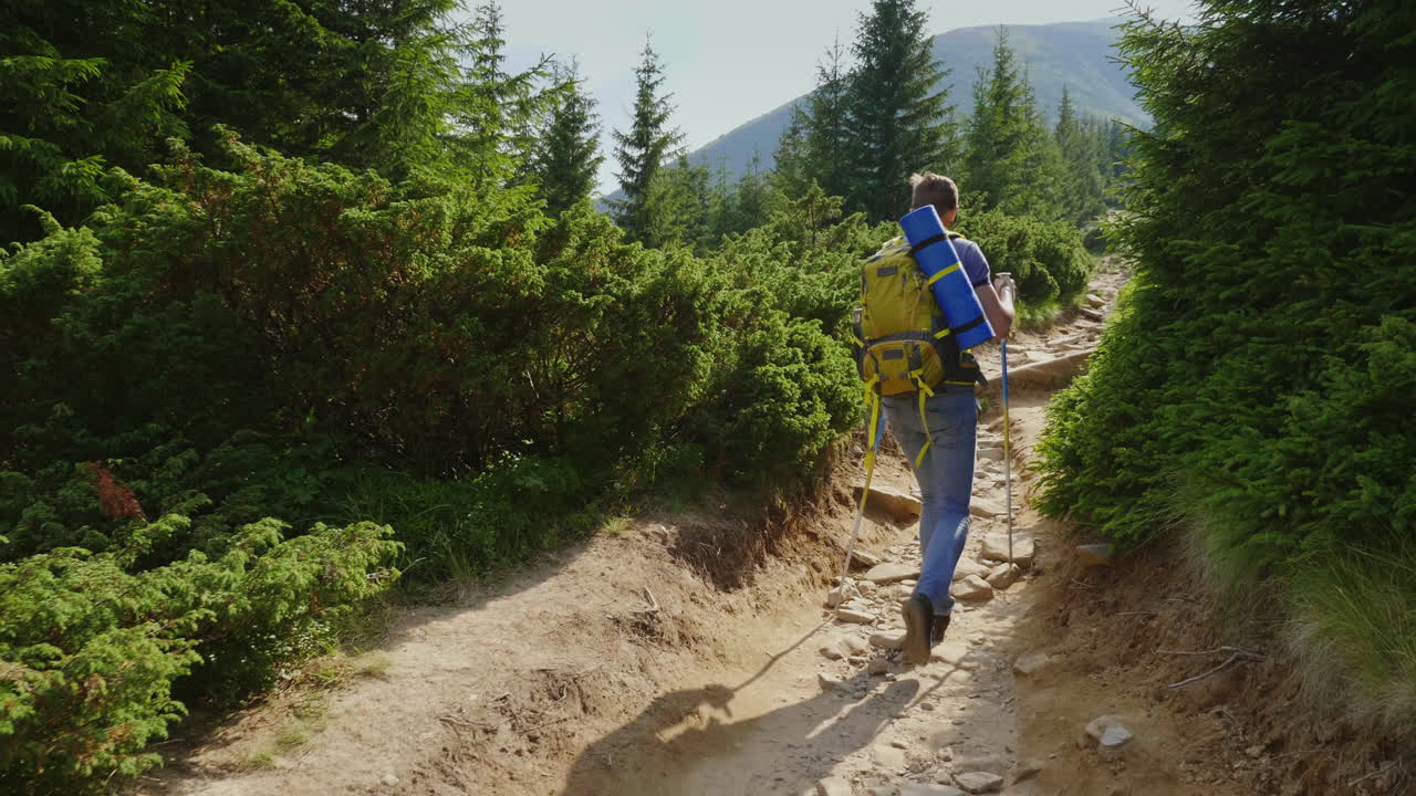 un joven con un bastón de trekking y una mochila sube la colina el sol brilla maravillosamente sigue