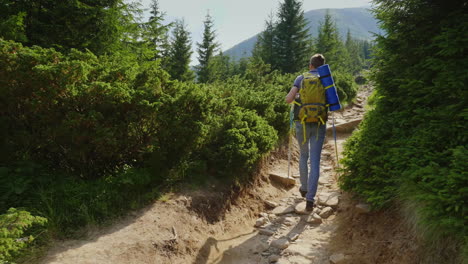 a young man with a trekking stick and a backpack rises up the hill the sun shines beautifully follow