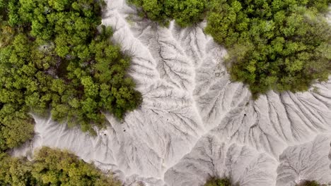 aerial top down shot of moon world with green plants between sandstone mountains in summer