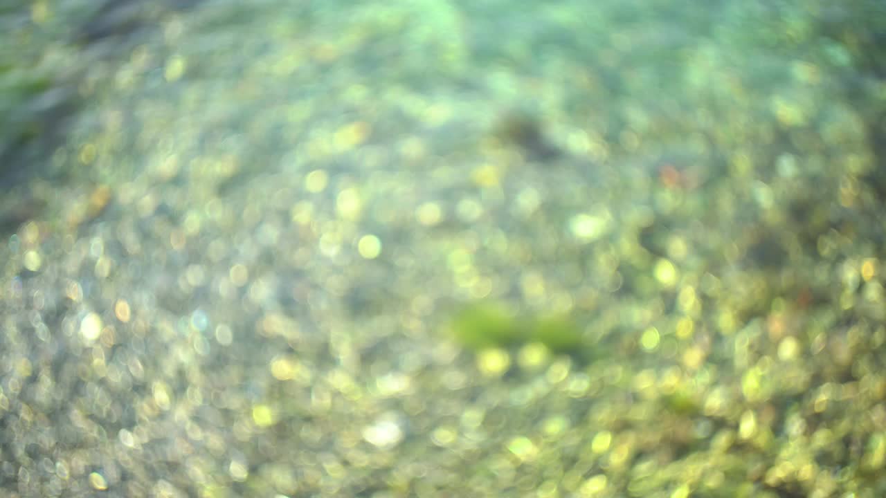 바가에서 보케와 함께 추상적인 흐릿한 불빛, 바 표면에서 반사된 빛, 반이는 원형 애니메이션