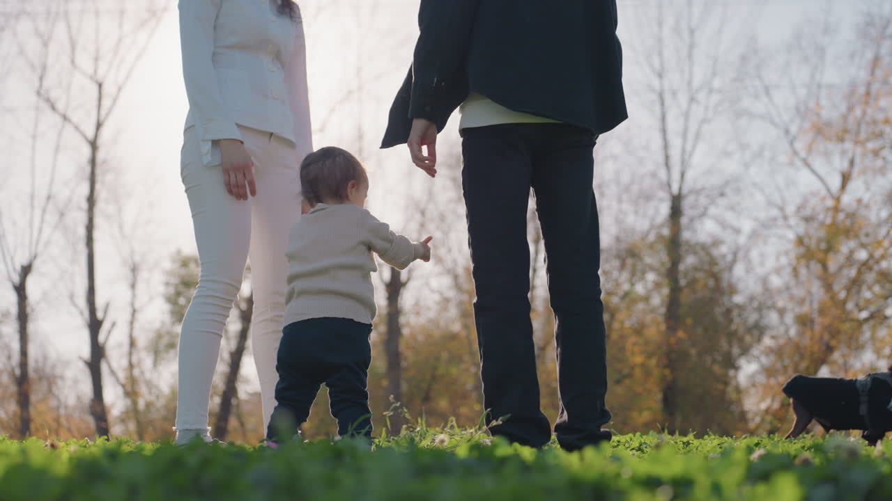 I genitori guidano il bambino. Momenti catturati durante una tranquilla passeggiata all'aperto. Mani tenere tengono il bambino in un vivace paesaggio autunnale. Ricordo prezioso di unione familiare in un parco illuminato dal sole in autunno.