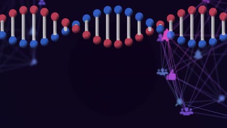 Animation-of-rotating-3d-dna-strand,-with-network-of-connected-icons-on-black