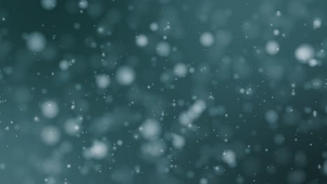 copos de nieve serenos que descienden suavemente en la oscuridad