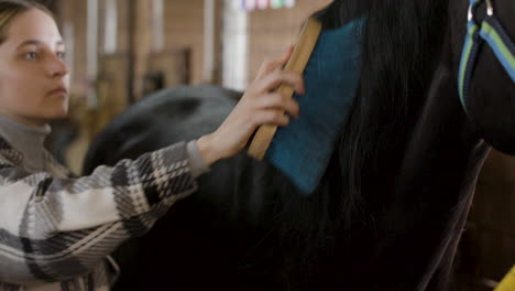 brunette woman brushing black horse at the stable