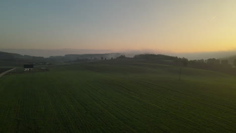 Exuberantes-Cultivos-Verdes-En-Vastos-Campos-Al-Amanecer-En-Napromek,-Polonia