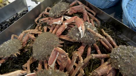 fresh crabs at a market