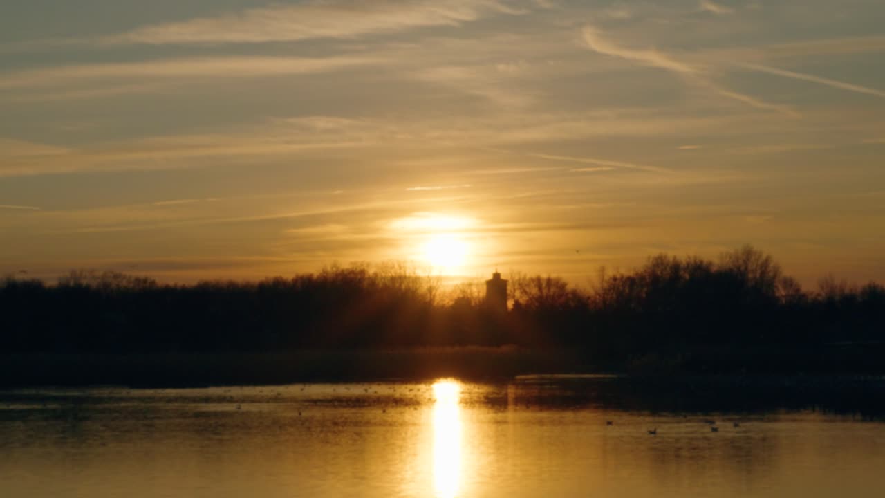 느린 움직임 으로 날아가는 새 들 의 무리