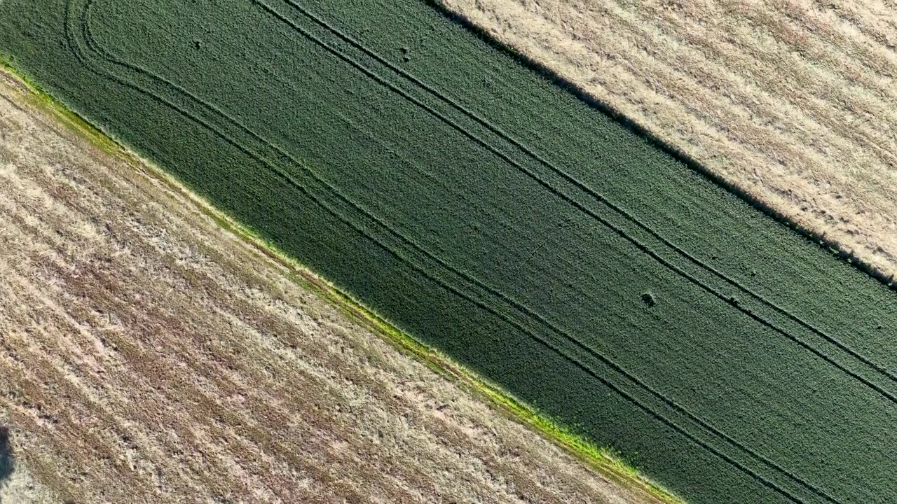 Overhead drone shot moves across geometric patterns of green crops and dry harvested soil.
