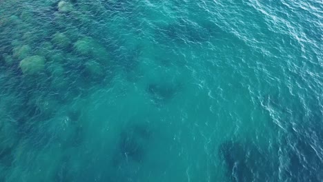 vista aérea de pájaro sobre el agua cristalina del lago alpino