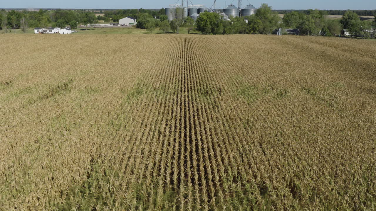 Agricultural Crops Of Hassard Elevator Company In Monroe City, Missouri, USA. Aerial Panning Shot