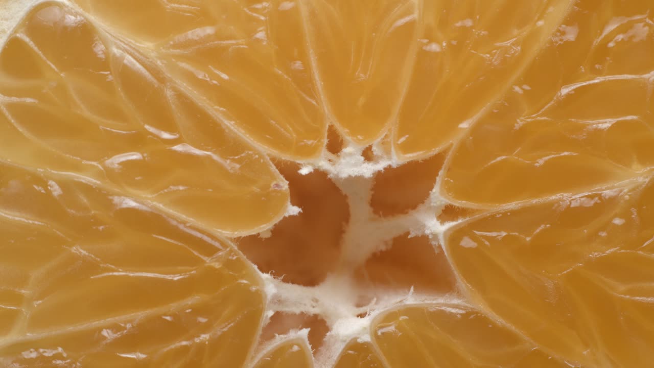 클레멘틴 매크로 회전 스튜디오 4k