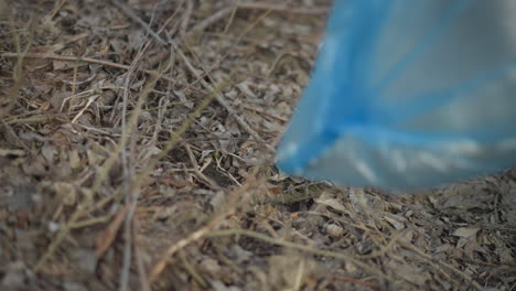Discarded glass bottle lying among dry leaves and twigs in outdoor natural area, with person in orange gloves reaching to pick it up during environmental cleanup effort aimed at reducing litter